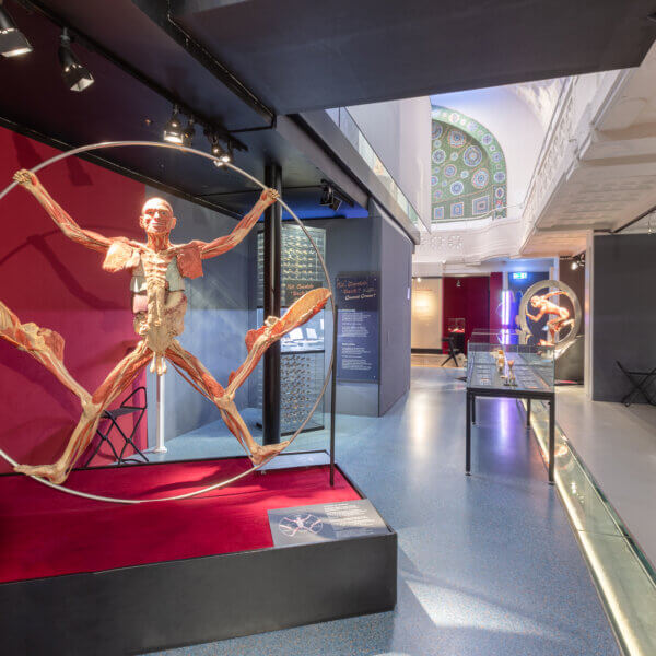 Leonardo der Moderne in der Ausstellung
